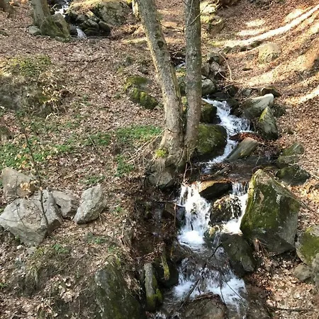 Nad Sowiogorskim Potokiem Jugow
