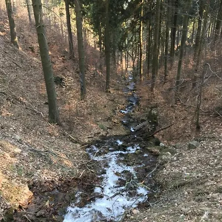 Nad Sowiogorskim Potokiem Jugów