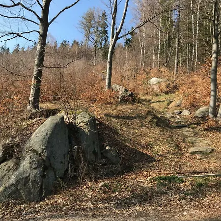 Nad Sowiogorskim Potokiem Jugów