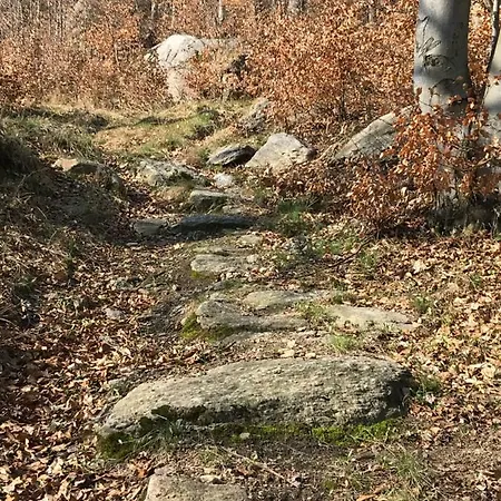 Проживание в семье Nad Sowiogorskim Potokiem *