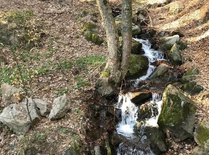 Nad Sowiogorskim Potokiem Jugow