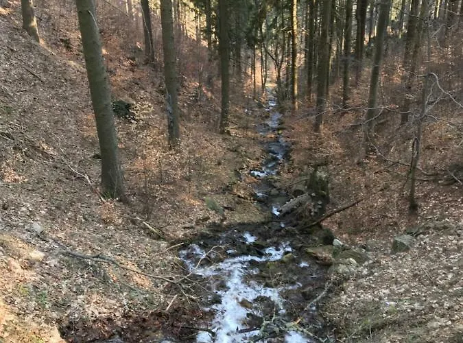 Nad Sowiogorskim Potokiem Jugow