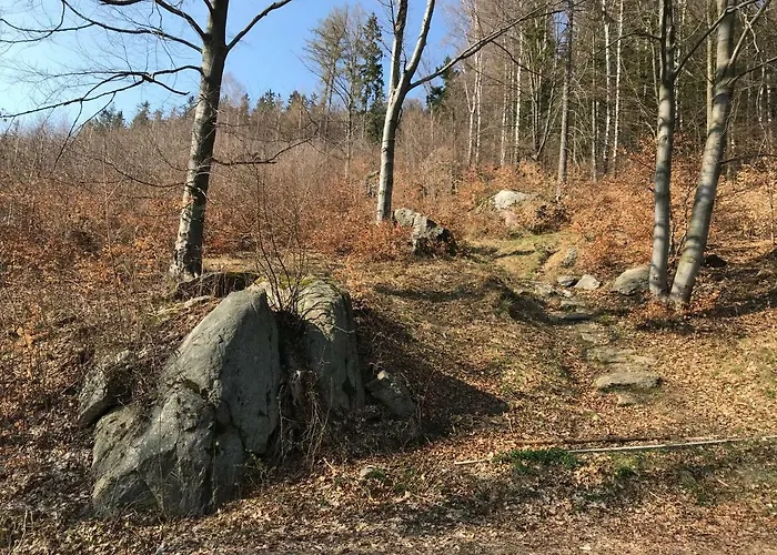 Nad Sowiogorskim Potokiem Jugow