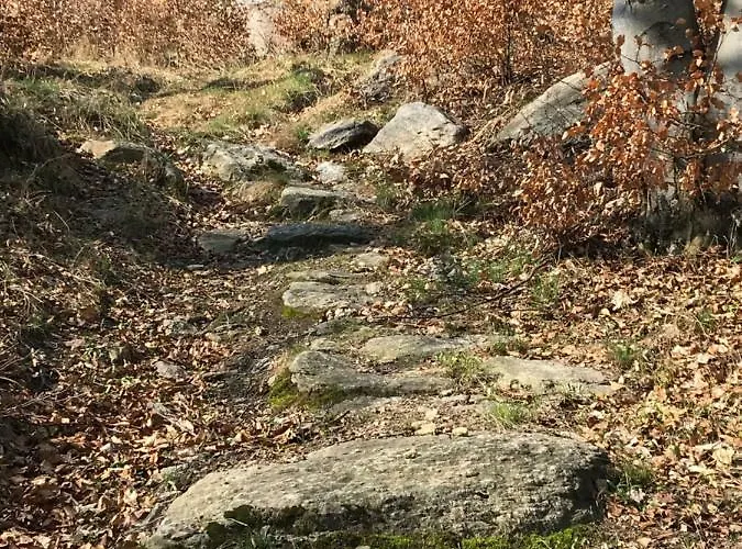 Homestay Nad Sowiogorskim Potokiem *