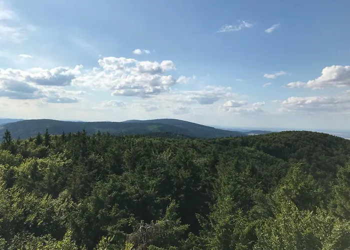 Nad Sowiogorskim Potokiem Homestay