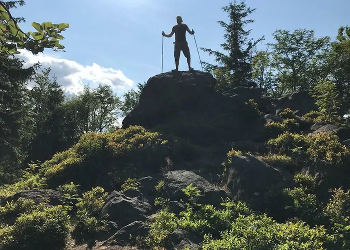 Nad Sowiogorskim Potokiem Homestay *